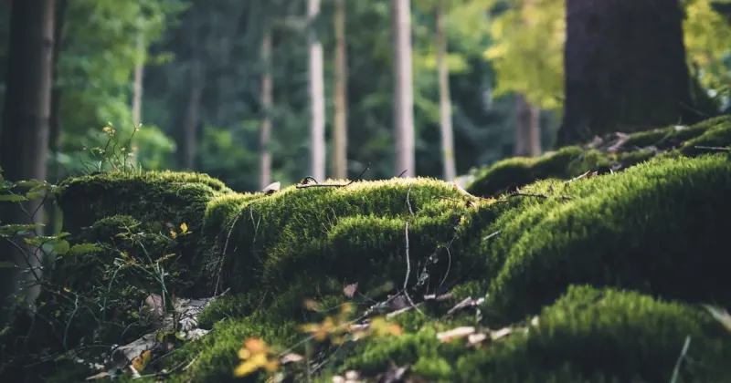 Standup India Scheme - Opportunities for SC ST and Women Entrepreneurs