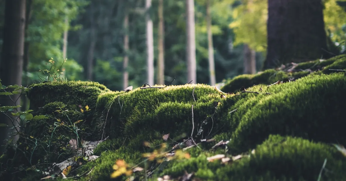 Standup India Scheme - Opportunities for SC ST and Women Entrepreneurs